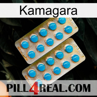 Kamagara new08
